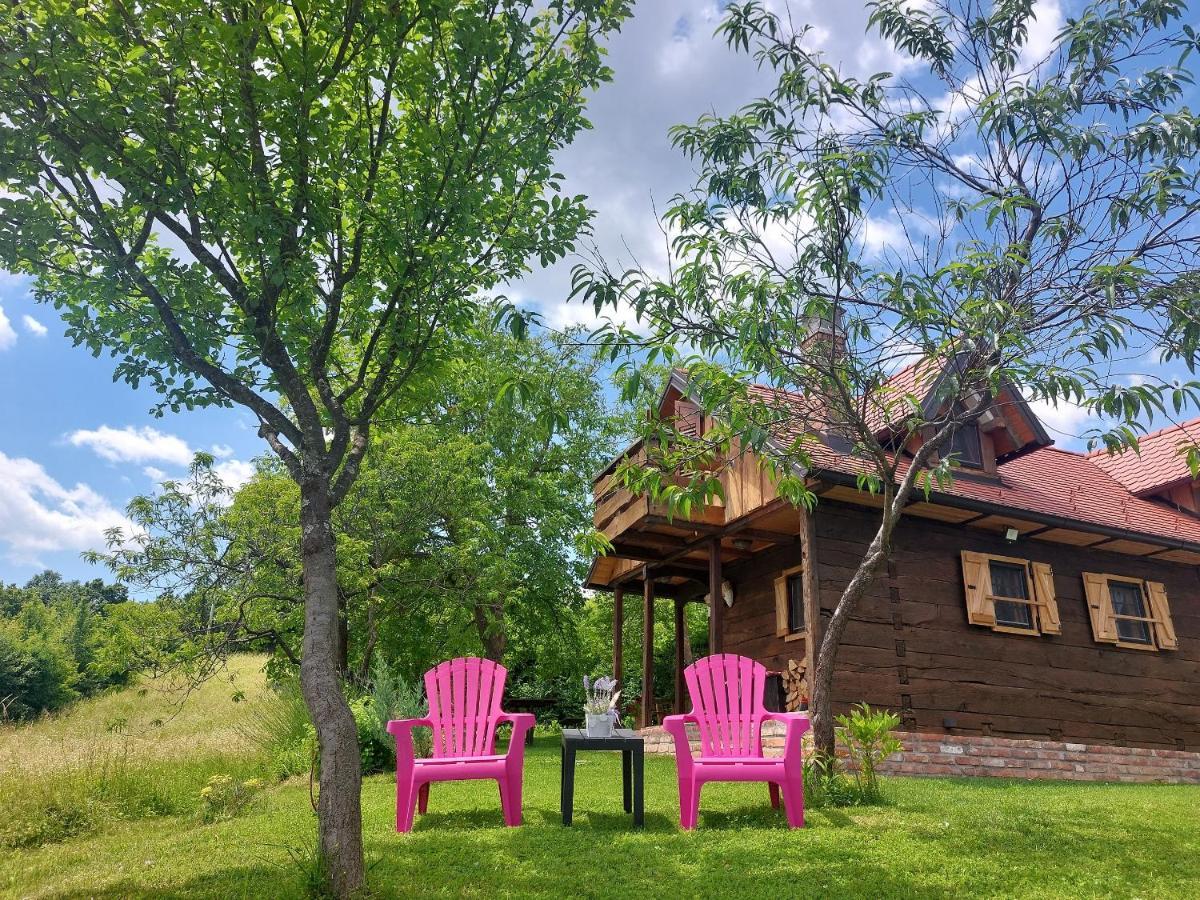 Rural Holiday House Tinna Biskupec Zelinski ภายนอก รูปภาพ